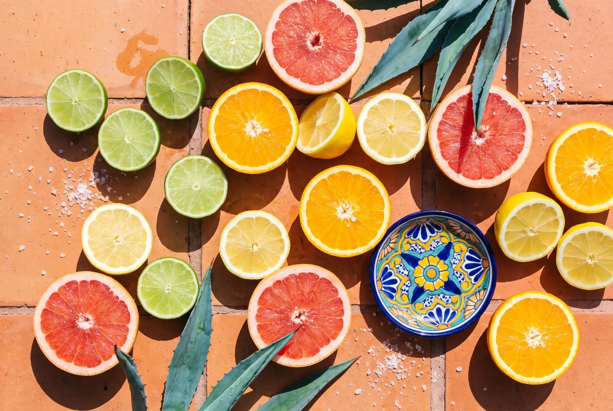 Halved limes, lemons, oranges and pink grapefruit with agave leaves on warm terracotta tile